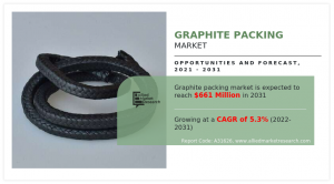 Graphite Packing Market By Region