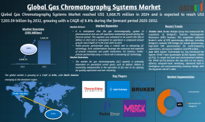 Gas Chromatography Systems Market