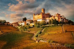Barolo Vineyards on the Hills of Langhe Region in Autumn