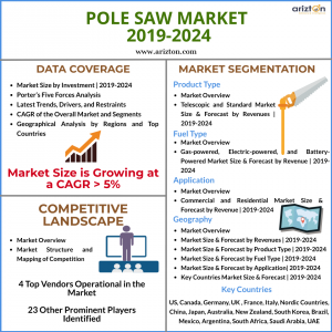 Global Pole Saw Market Overview 2024