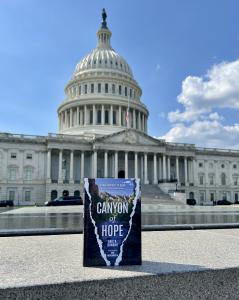 Canyon of Hope in Front of US Capitol.