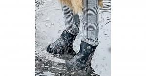 dog snow leggings