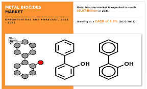 Metal Biocides Market, by Application