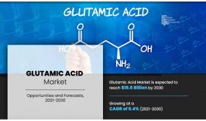Glutamic Acid Market CAGR