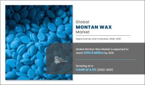 Montan Wax Market CAGR