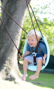 Swurfer Kiwi - Blue, happy boy in swing, sunny day by a tree