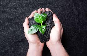 Enriched Biochar Market, by Application