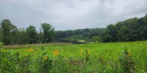 Wilderness Lake Prairie