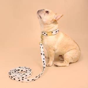 A french bulldog wears a black and white print collar and leash set set against a beige background.