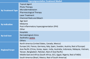Hyperpigmentation Treatment Market Segment