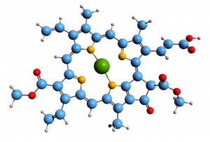 The Chlorophyll molecule symbolises the holism of Open Source LIMS