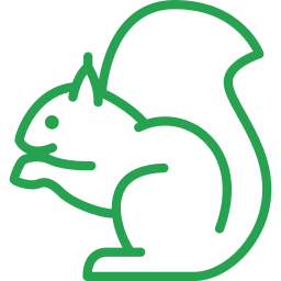 Animal Wildlife Control