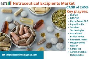 Nutraceutical Excipients Market