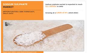Sodium Sulphate Market, by Application