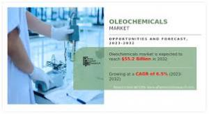 Oleochemicals Market, by Application