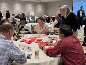Group of veterinary volunteers seated around several round tables at the meeting sorting species diagnosis cards.