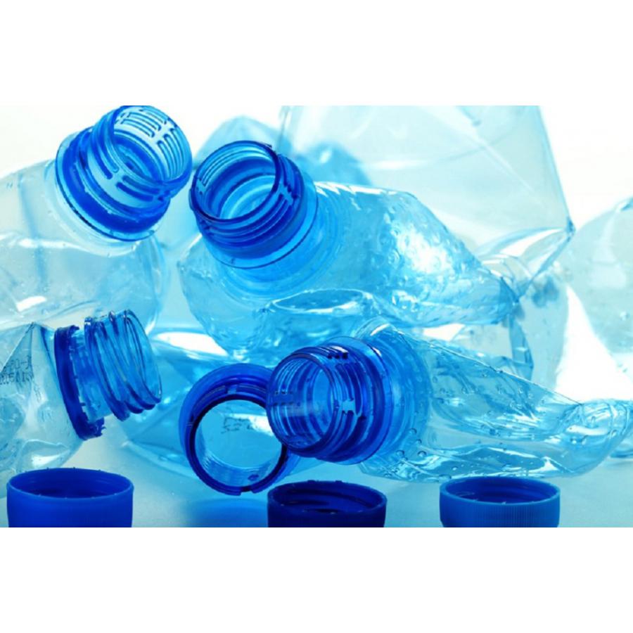 Plastic Bottle Recycling Market by Top