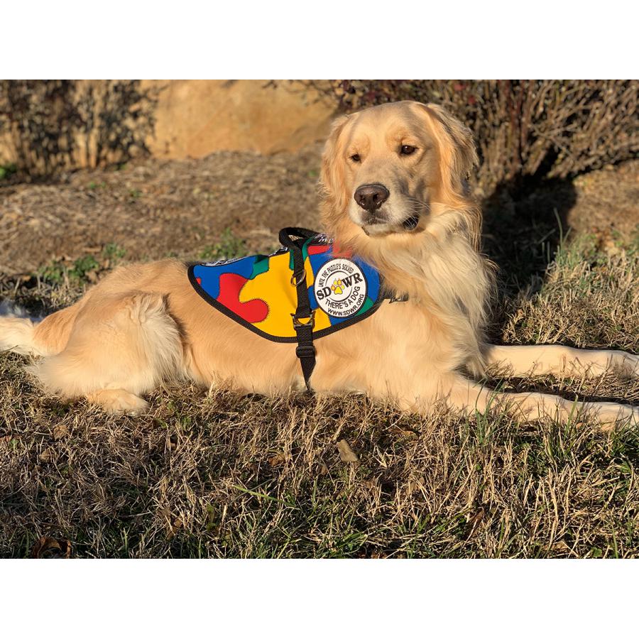 Autism Service Dog Delivered to Assist 7-year-old Boy in Brownsburg, IN