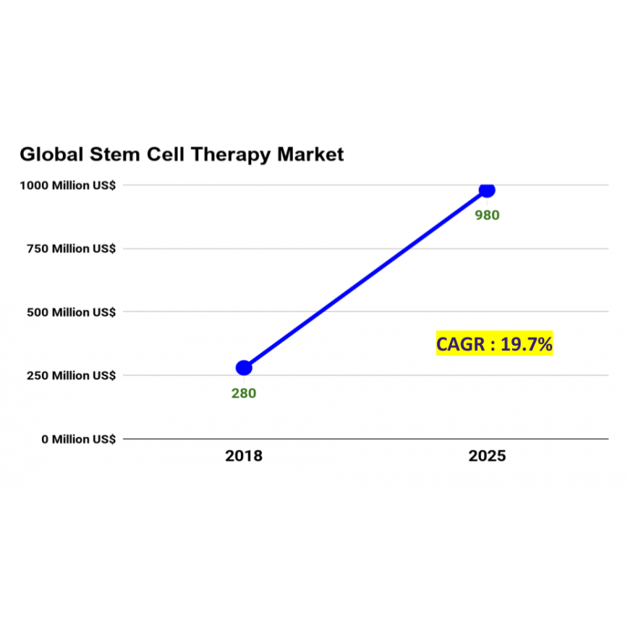 Global Stem Cell Therapy Market Worth 980 million US by the end of